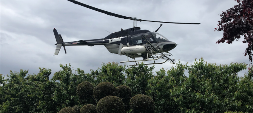 Harvest Time Cherry Orchard - Helicopter