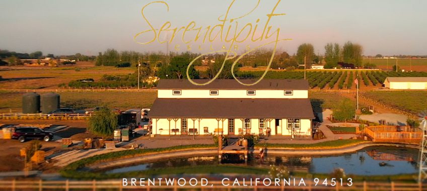Serendipity Cellars