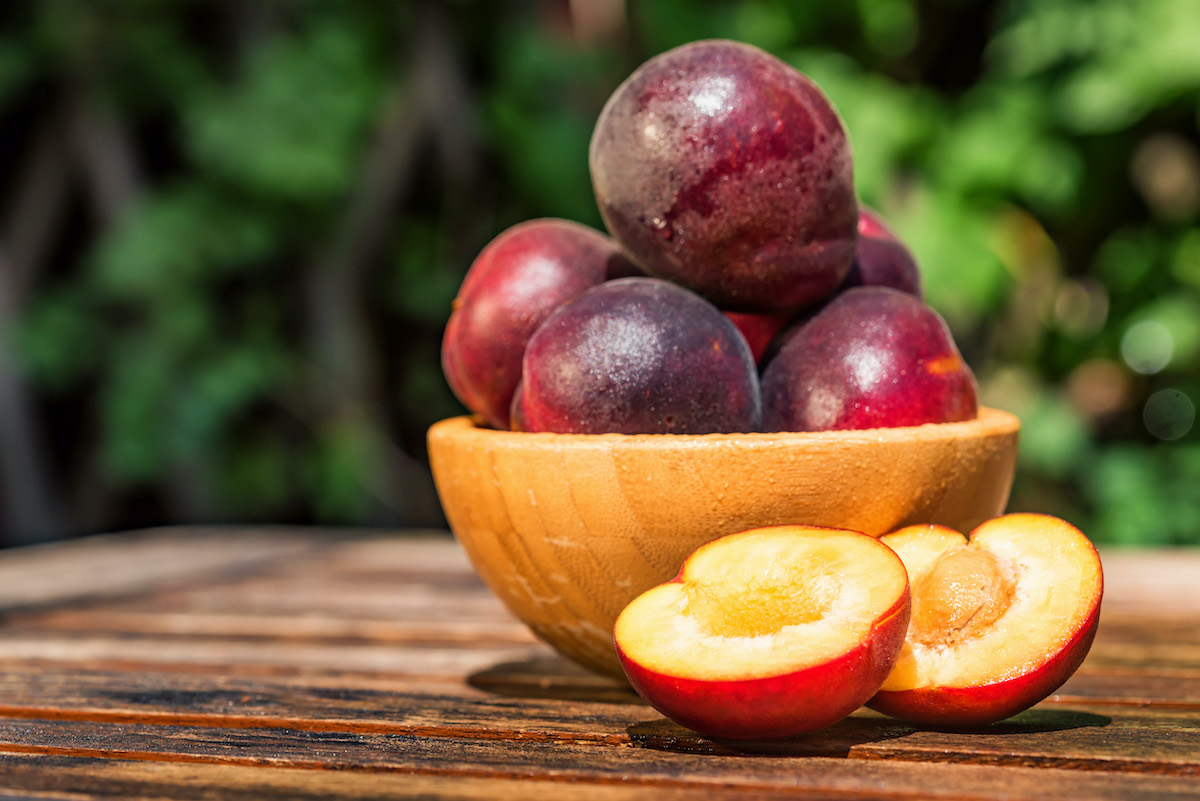 Pluots in a Bowl